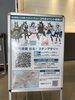 実施期間「苫小牧市×ウマ娘プリティダービー　コラボイベント‼」
