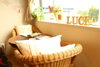 HOUSE OF LUCE