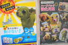 「ミニチュアダックス専門店」