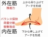 内在筋と外在筋「中高生のこむら返りの原因｜足の内在筋と開帳足の関係 」