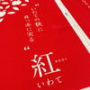 「昨日の「りんごクイズ」の正解発表です!!」