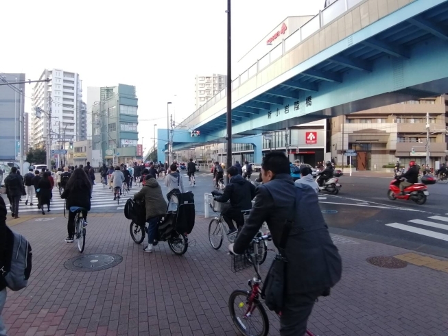 安全運転「TOKYO NO1 自転車通行量の葛飾区　【平和橋自動車教習所】」