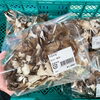 「道の駅木曽福島 農産物直売所 きのこシーズン到来⁈」