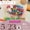 モス「1周年記念！スカンディアモスの癒しワークショップ＆身体が硬い人のためのヨガ体験【無料】」
