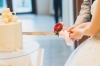 「Wedding Report ～これからもよろしくね～」