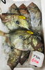 「魚魚市場鮮魚コーナーおすすめは「クロ・イサキ」です♪」
