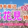 2026お花見特集