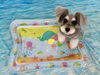 マリンちゃん「波とわんこ🌊」