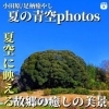 Instaベーシックプラン