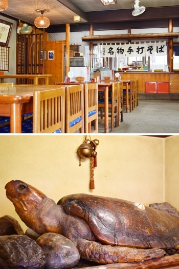 店内には、浦島太郎が乗っていたとされる亀の置物がございます「寿命そば越前屋」