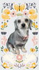 「Dog salon mofu mofu　余市町」