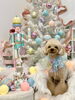 立くん「Merry Xmas 🎄」