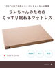 「🍂眠れる秋が、健康をつくる。 大切な愛犬にも、質の良い睡眠を。」