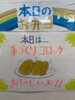 「本日の手作り弁当は新鮮な玉ねぎとじゃがいもがたっぷり！ほくほくサクサクの「手作りコロッケ」を9時30分より販売いたします」