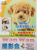 「広島市佐伯区 Dogcom． U^エ^U　WanWan撮影会のお知らせ」