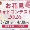 まいぷれ川越周辺presents お花見フォトコンテスト2026