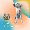「Dog salon mofu mofu　余市町」
