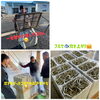 「いかなご漁☆フルセ☆炊きました♪ちりめん、佃煮、煮干小売り販売しています☆直売所」