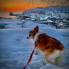 hug「Good morning Otaru!  ◎ 小樽の古民家ゲストハウスより」