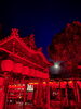 「本日5/4(木)、明日5/5(金)は夜間拝観を開催致します。」