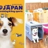 K9Japan