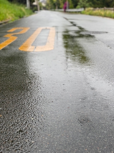 「雨の日のつつじ」