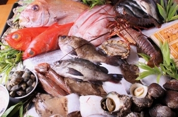 木更津魚市場から直接仕入れた魚を使用しています「魚や77」