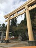 80年ぶりに建て替えの一億円の鳥居　「昨日はお休みを頂きドライブへ」
