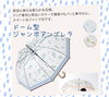 お買い上げでプレゼント！「アカシア夏の化粧品デー🩵」