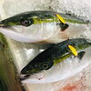 「魚魚市場鮮魚コーナーおすすめは「甘鯛・天然ぶり・天然ヒラス」です♪」