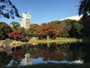 「小石川後楽園の紅葉は〜♪」