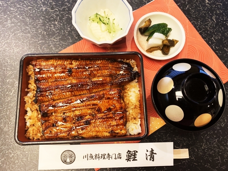 川魚料理　鯉清