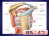 「施術紹介：腱板炎」