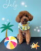 「お友達♡ Dog salon mofu mofu 余市町」