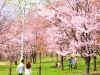 北光公園｜砂川市