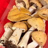 「🏵️季節のご飯【信州・下諏訪町の老舗川魚専門店】」