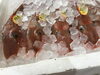 「魚魚市場鮮魚コーナーおすすめは「ヒラメ」です♪」