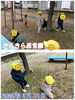 どんぐり拾い☆彡.。「まてまてまてー!! 【交野市 小規模保育園】」
