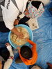 「作ったみそを熟成中です(^.^)」