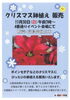 「『クリスマス鉢植販売（浦安市）』」