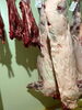「静岡産・富士山麓ジビエ イノシシ肉入荷しました」