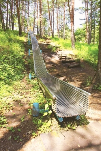 全長50m近くあるジャンボ滑り台「こだまの森」