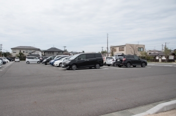 新発田城址公園桜まつり へ行ってきました まいぷれ新発田編集部 勝手に盛り上げ企画まとめ まいぷれ 新発田 胎内 聖籠