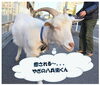 エントリーNo.3