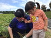 どれくらい掘れたかな？「良い匂いにうっとりでした…」