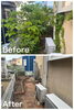川西市南野坂でお庭の手入れをしました！ | 植木屋ハッピーグリーンの 