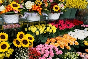 季節を感じることができる、色とりどりの花をご用意しております「華郷園」