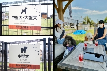 大型犬と小型犬のスペースがあります「Dogrun KEN＋」