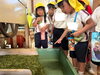 「お茶摘み🌱」