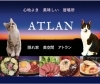 「ATLAN 隠れ家 美空間」この空間は意外性のはじまり　新しくも楽しい扉がひらくとき